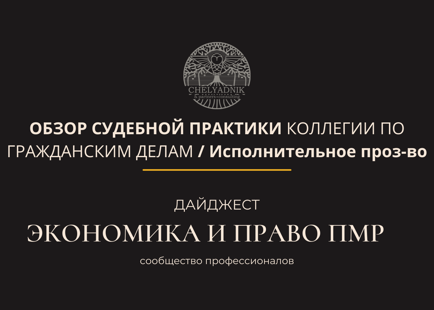 Обзор судебной практики 2010. Исполнительное производство ПМР. Обзор судебной практики. Гражданское право ПМР.